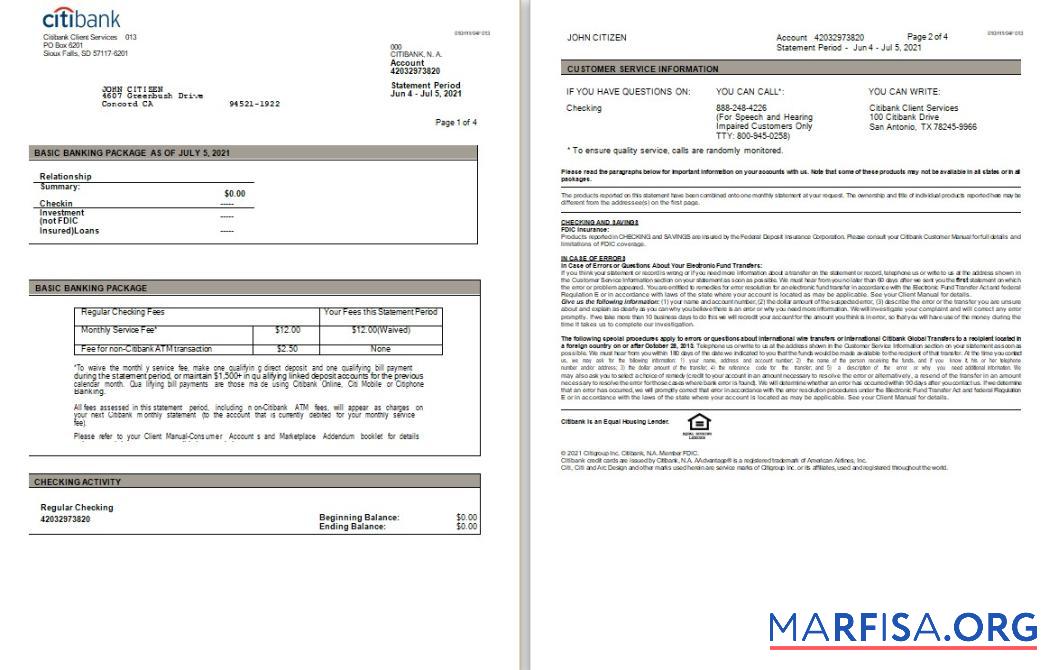 Blank USA Citibank statement word 3 pages example